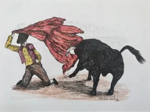 Bullfighter