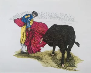 Bullfighter
