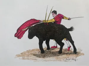 Bullfighter
