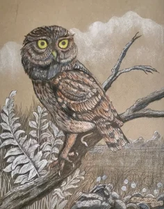 Owl.