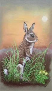 Rabbit.