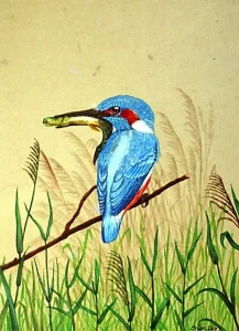 Kingfisher