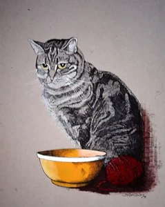 Cat and Bowl