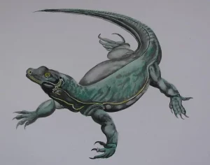Komodo Dragon.