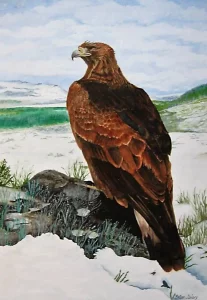 Bird Of Prey