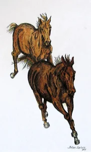 Horses