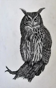 Owl