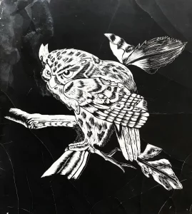 Owl