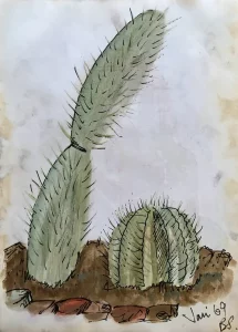 Cacti