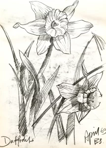 Daffodils